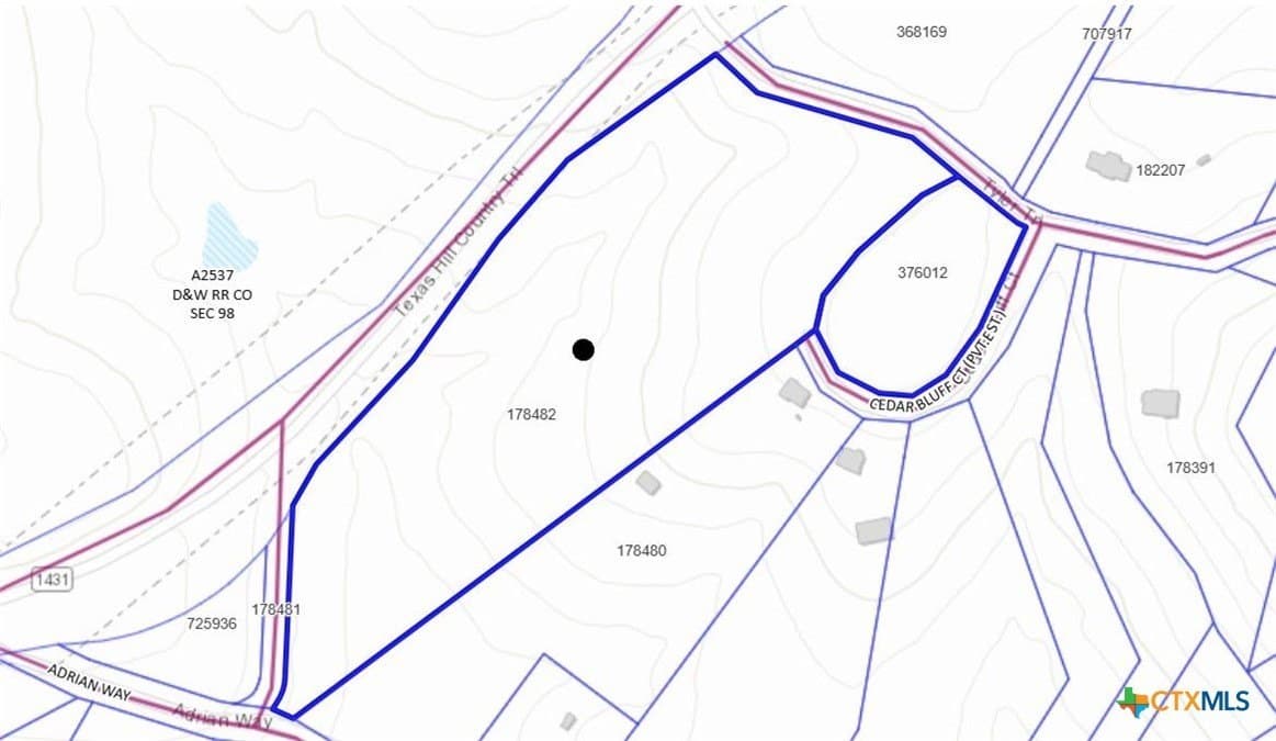 15.41 acres in Travis County - photo 38