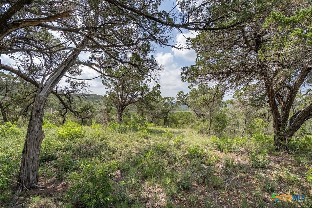 15.41 acres in Travis County - photo 14