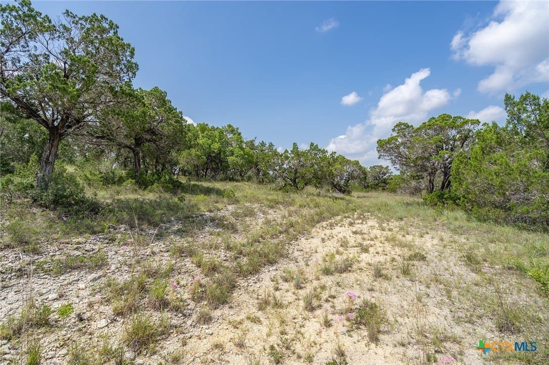 15.41 acres in Travis County - photo 22