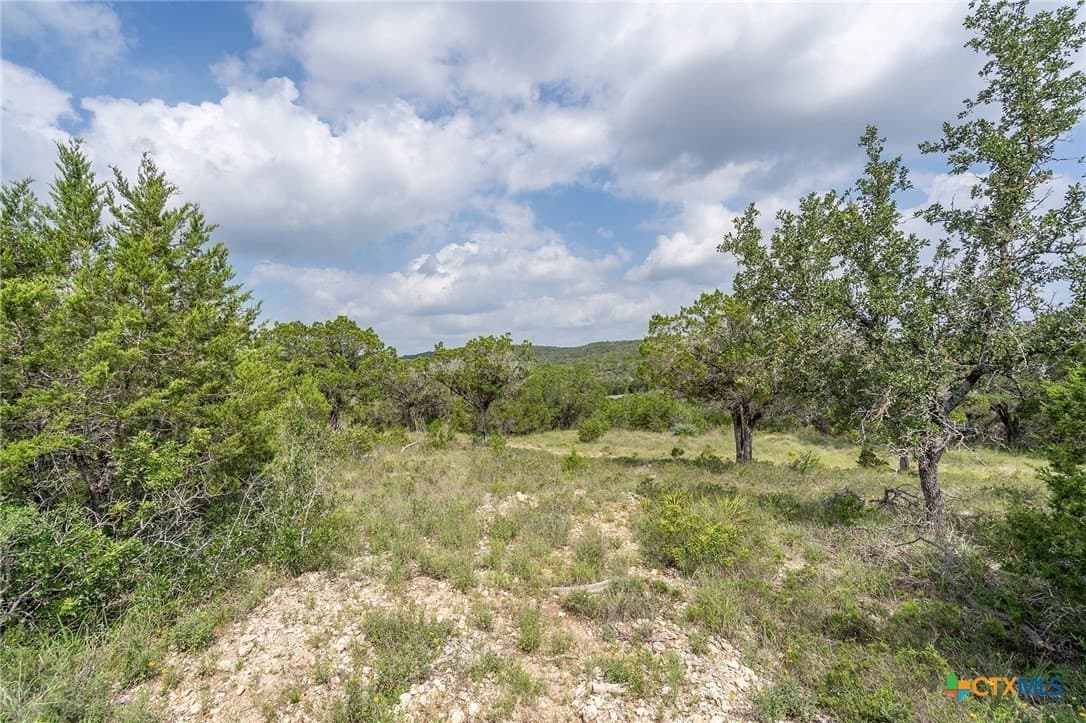 15.41 acres in Travis County - photo 3