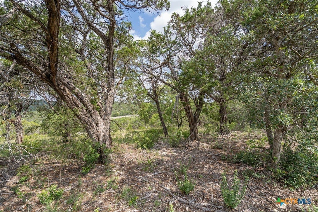15.41 acres in Travis County - photo 9