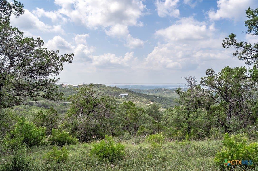 15.41 acres in Travis County - photo 17