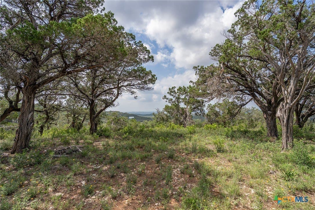 15.41 acres in Travis County - photo 16
