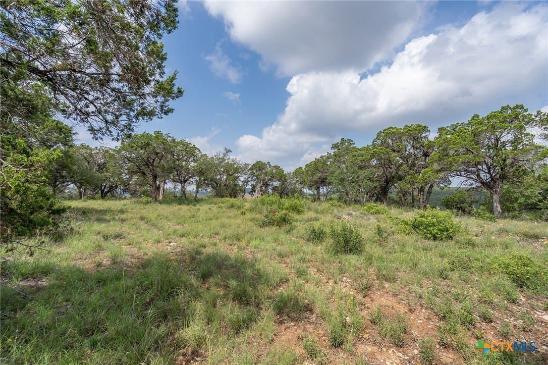 15.41 acres in Travis County - photo 6
