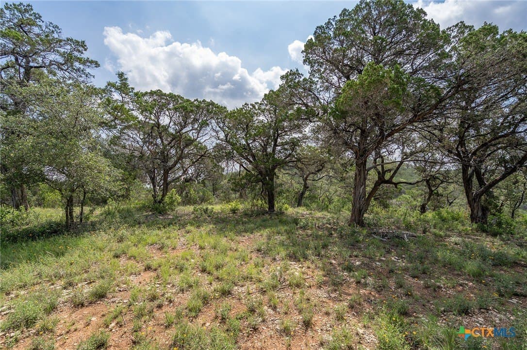 15.41 acres in Travis County - photo 15