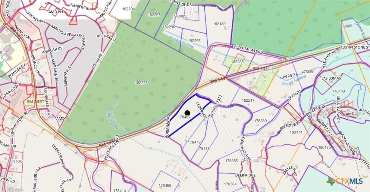 15.41 acres in Travis County - photo 37