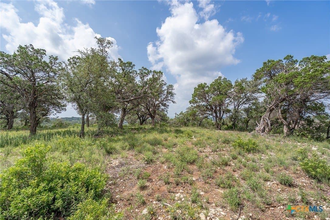 15.41 acres in Travis County - photo 10