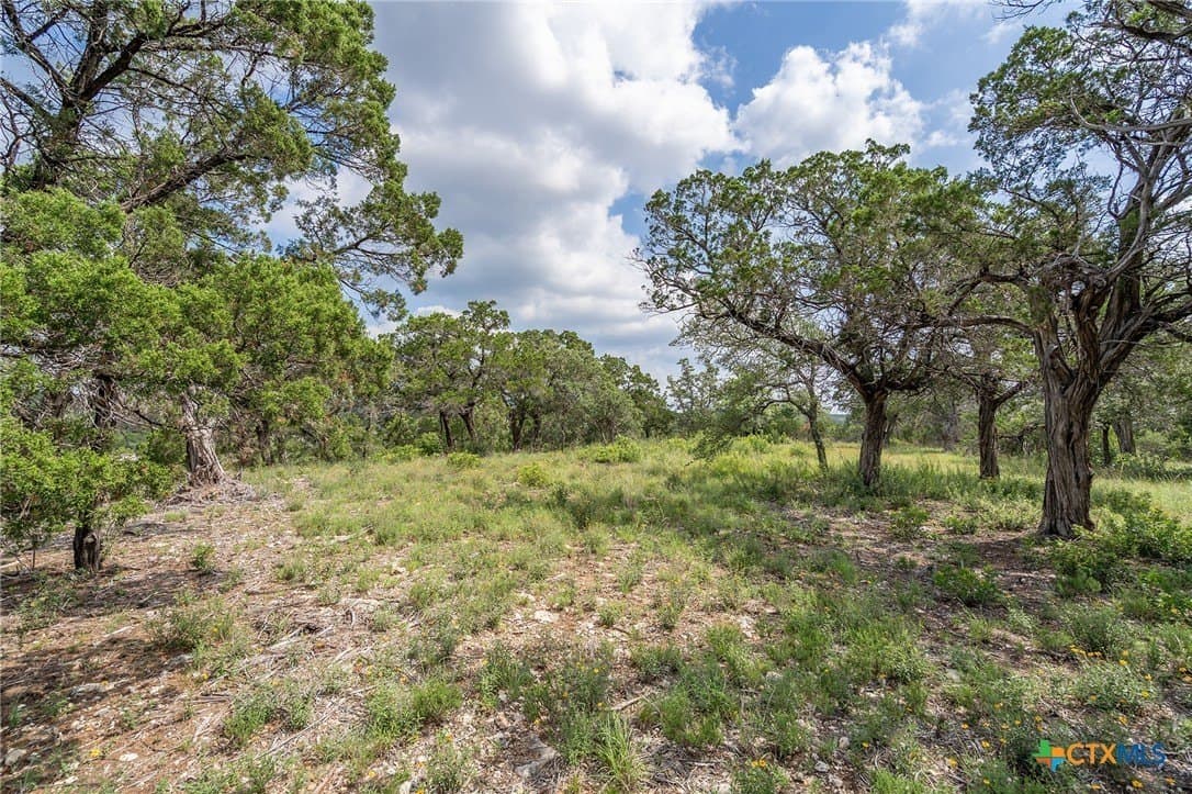 15.41 acres in Travis County - photo 11