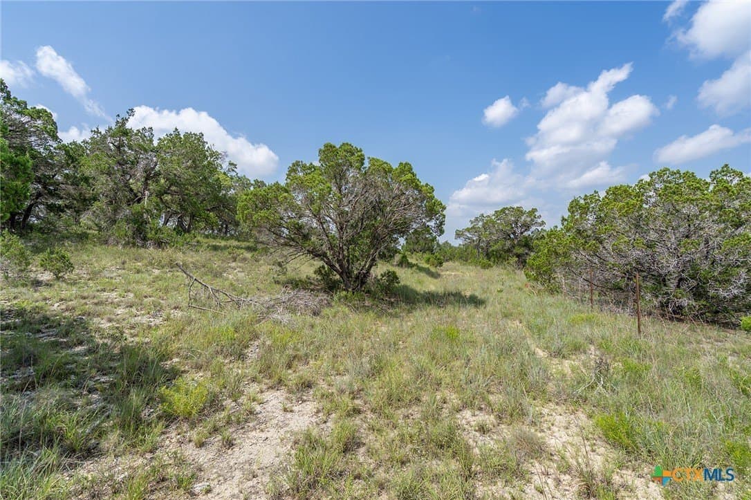 15.41 acres in Travis County - photo 23