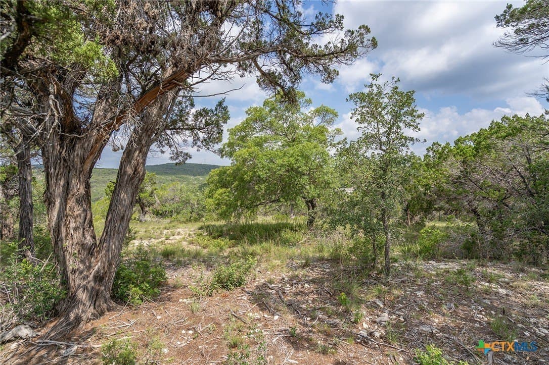 15.41 acres in Travis County - photo 8