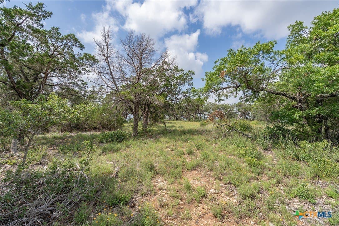 15.41 acres in Travis County - photo 5