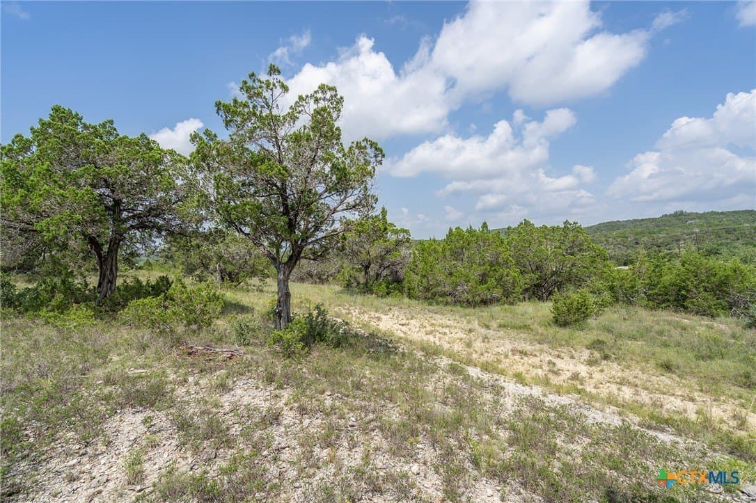 15.41 acres in Travis County - photo 21