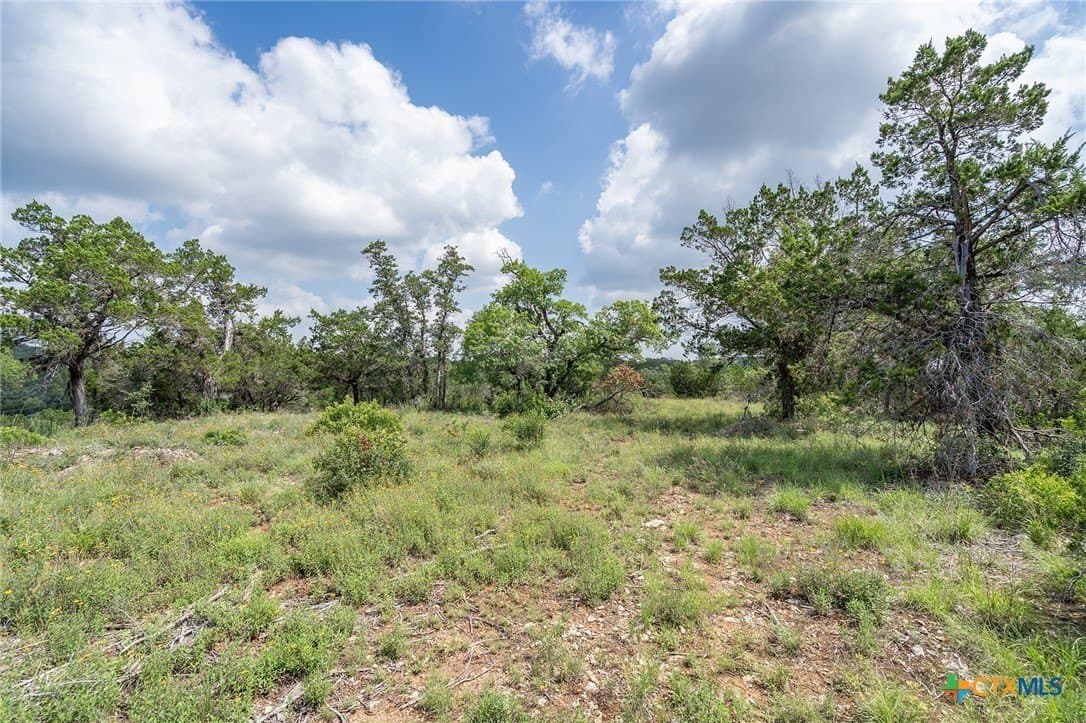 15.41 acres in Travis County - photo 19