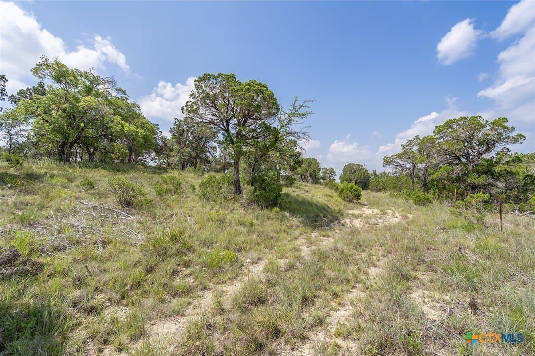 15.41 acres in Travis County - photo 25