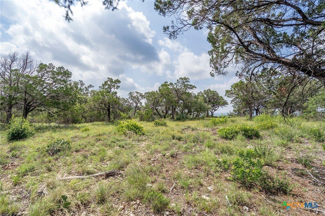 15.41 acres in Travis County - photo 7