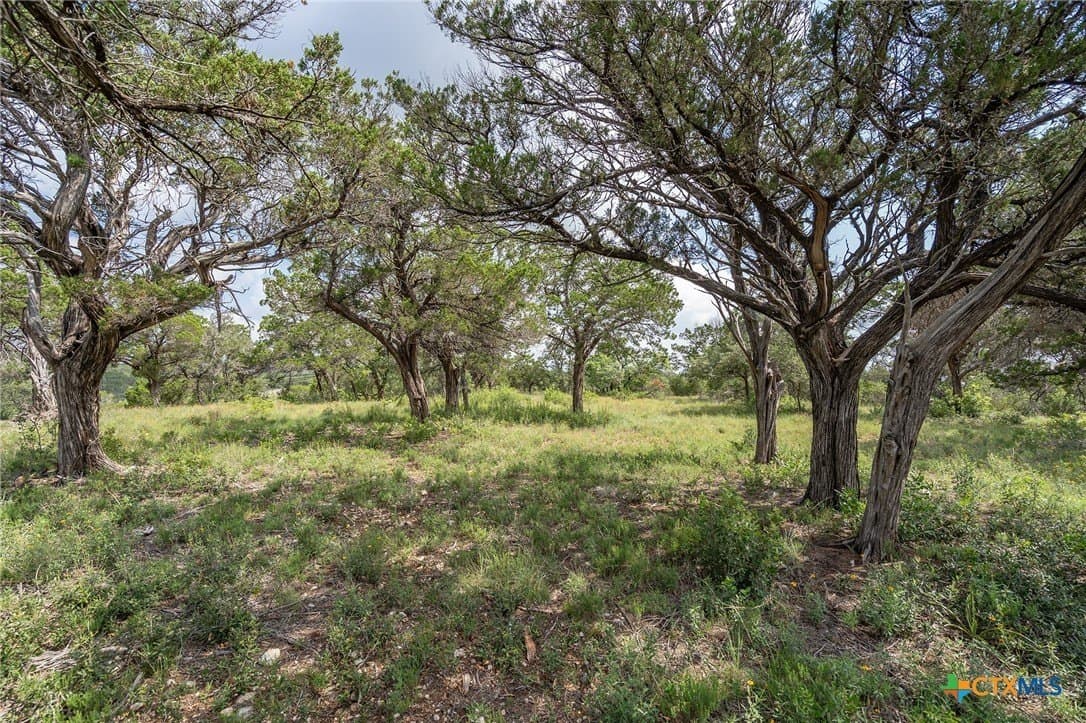 15.41 acres in Travis County - photo 13