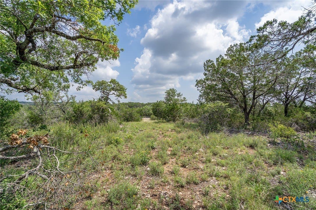 15.41 acres in Travis County - photo 20