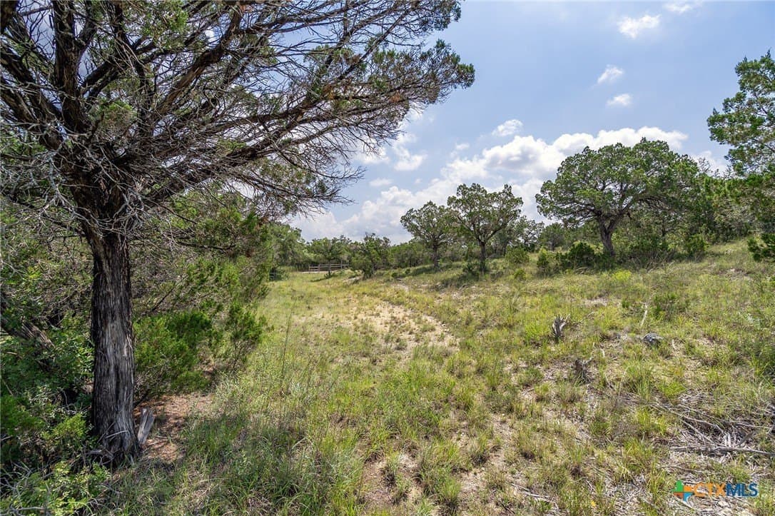 15.41 acres in Travis County - photo 24