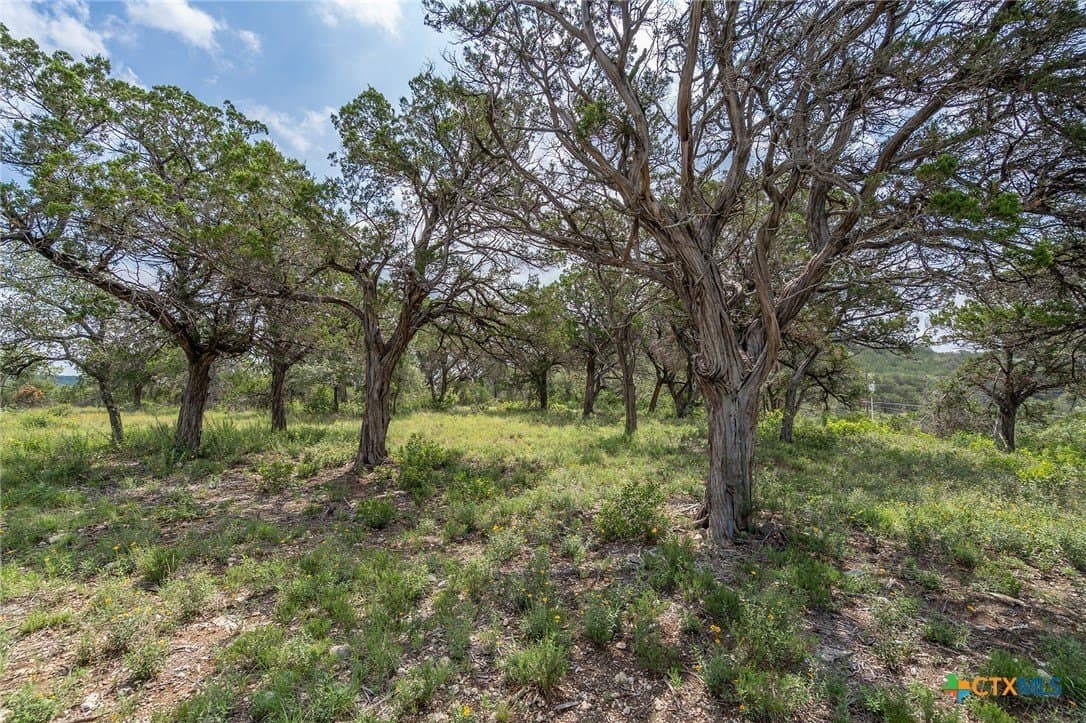 15.41 acres in Travis County - photo 12