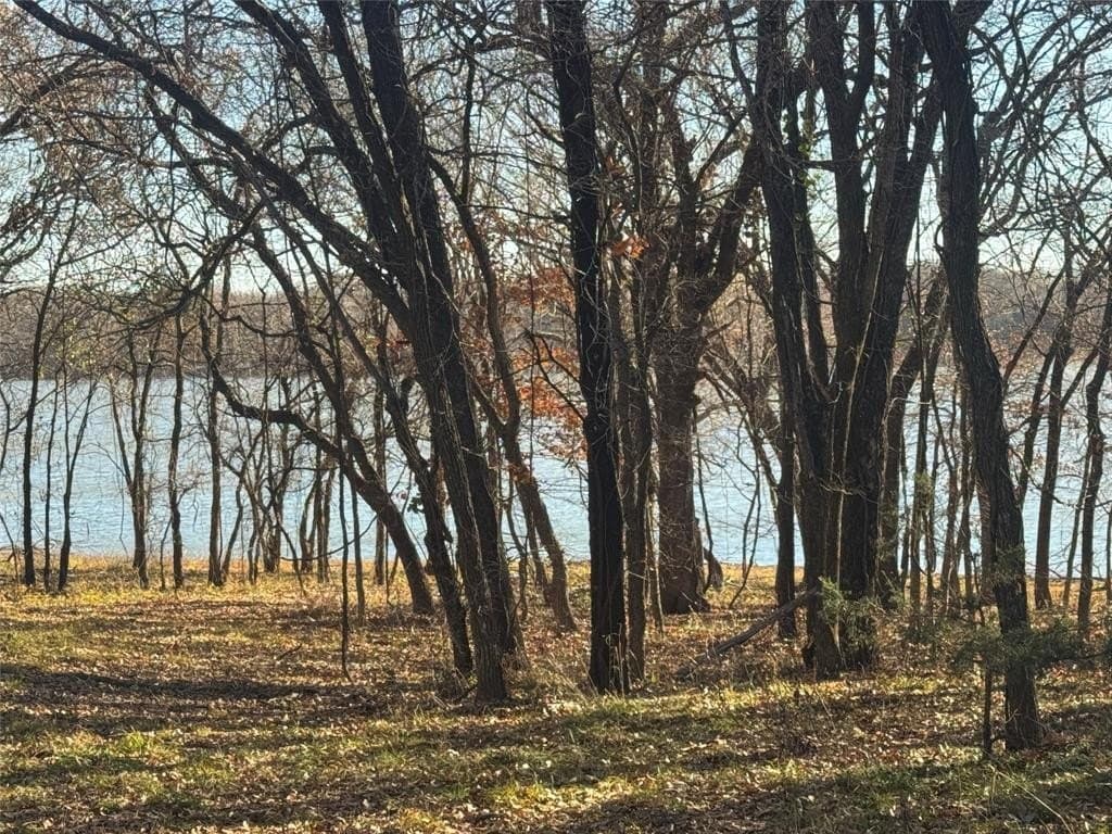 12.85 acres in Grayson County - photo 5