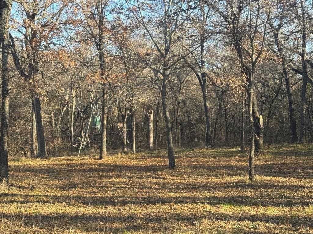 12.85 acres in Grayson County - photo 6