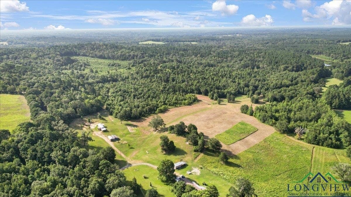 32 acres in Upshur County - photo 8