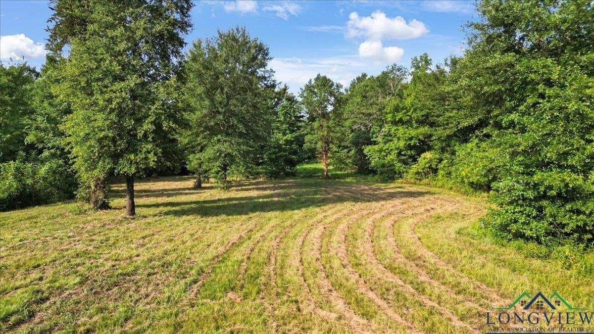32 acres in Upshur County - photo 12