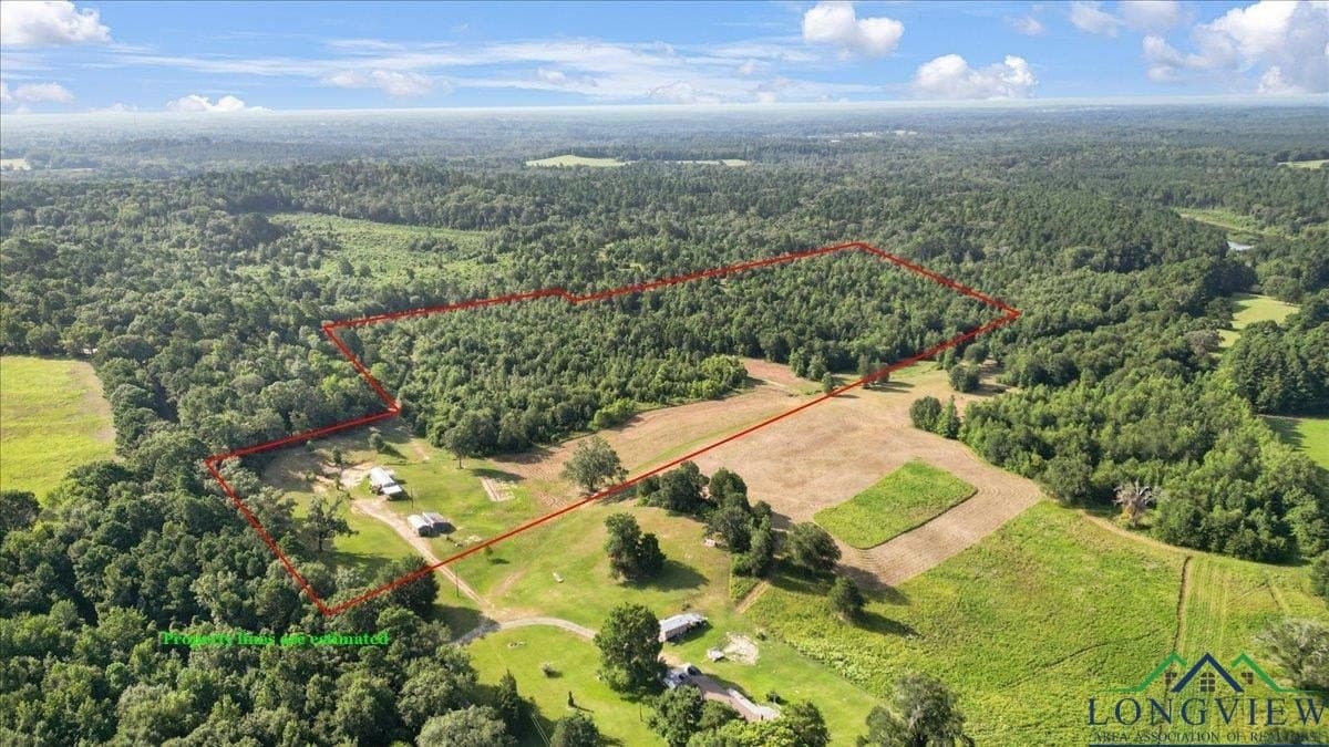 32 acres in Upshur County - photo 5