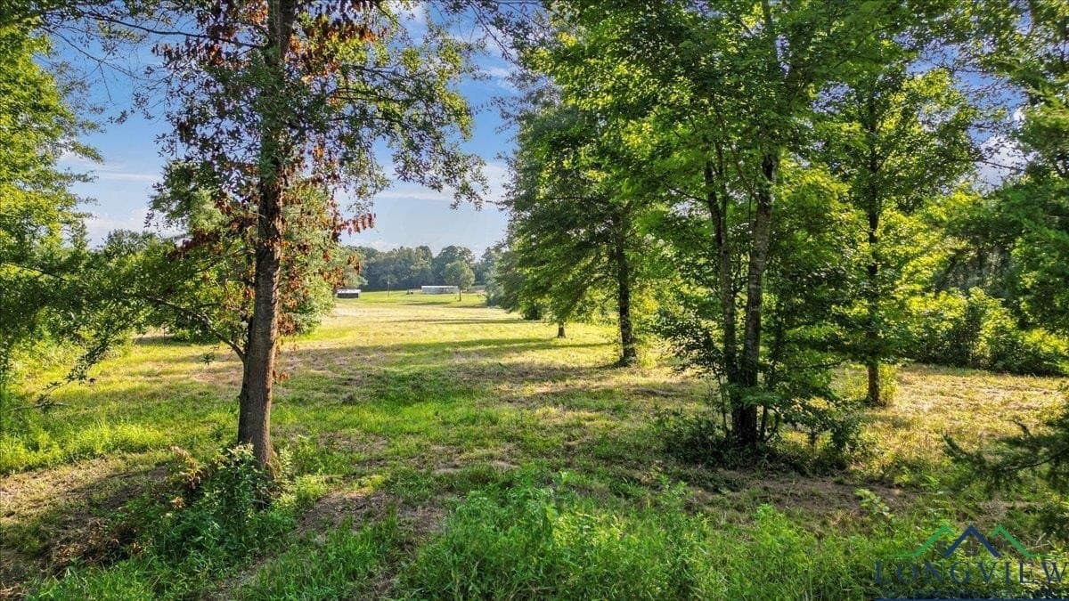 32 acres in Upshur County - photo 3