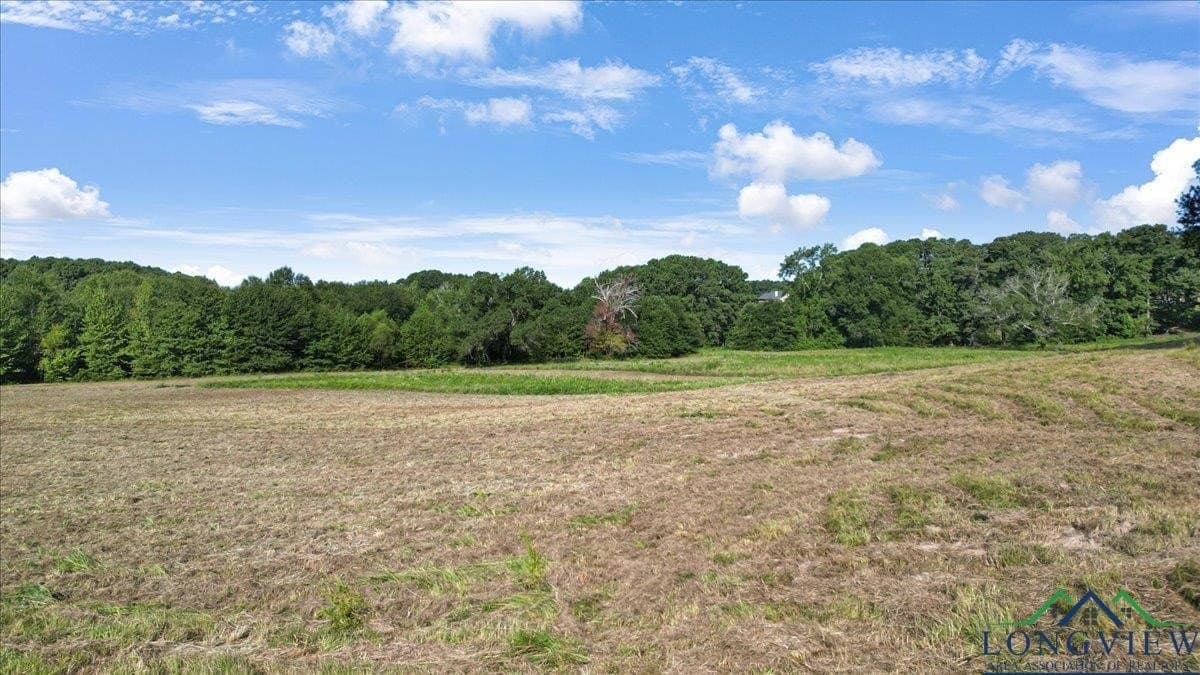 32 acres in Upshur County - photo 10