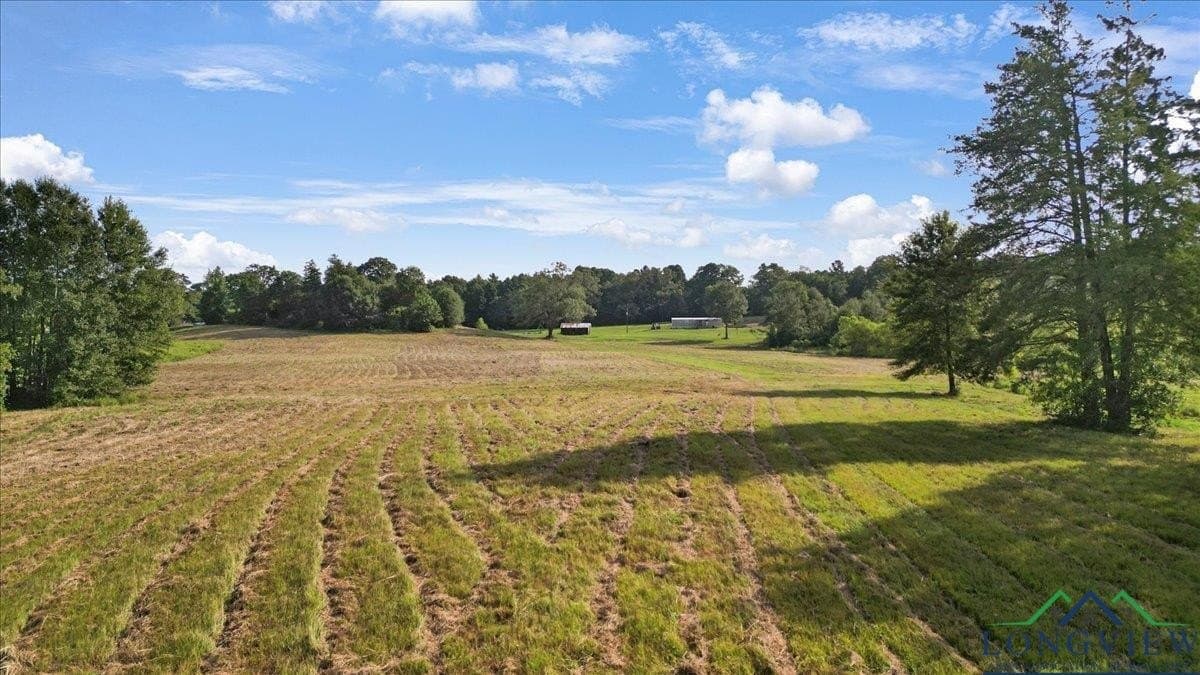 32 acres in Upshur County - photo 13