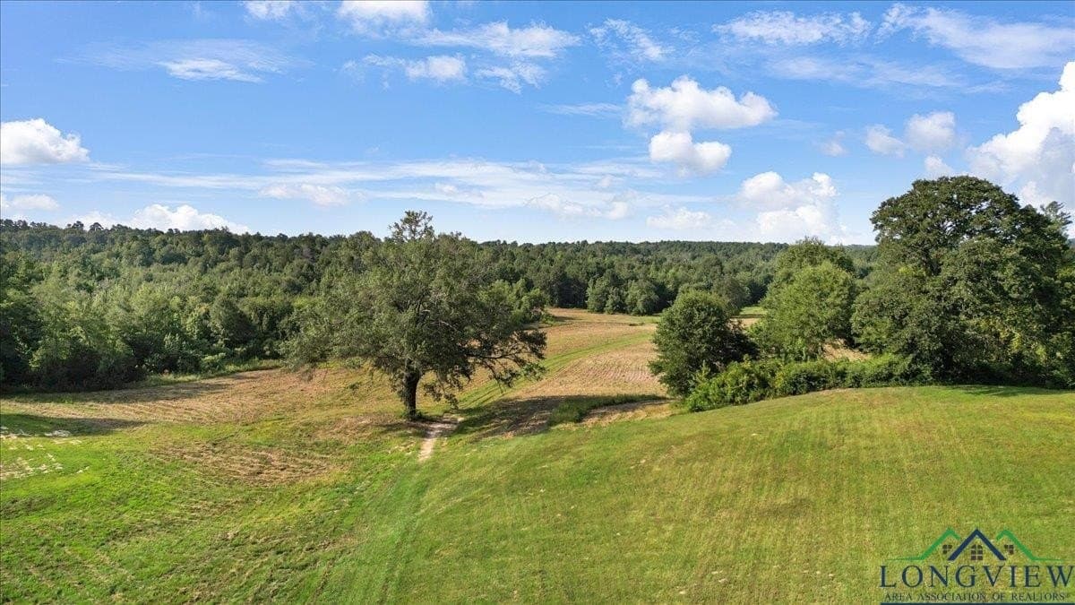32 acres in Upshur County - photo 2