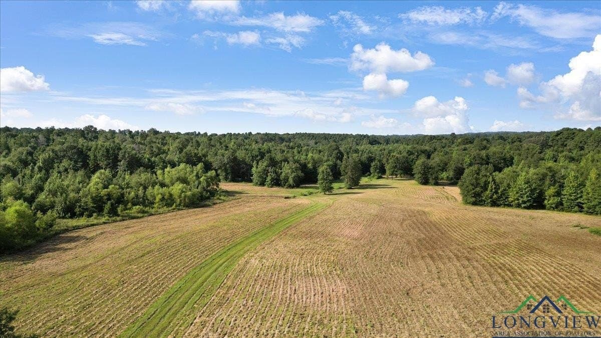32 acres in Upshur County - photo 9