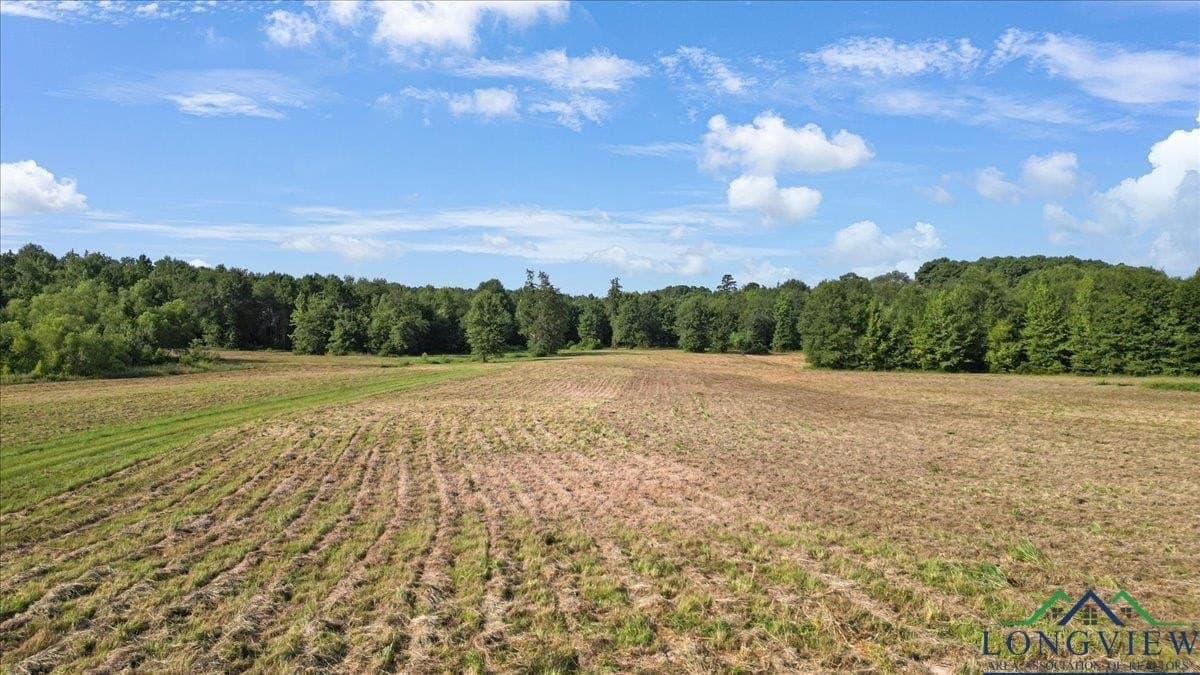 32 acres in Upshur County - photo 11