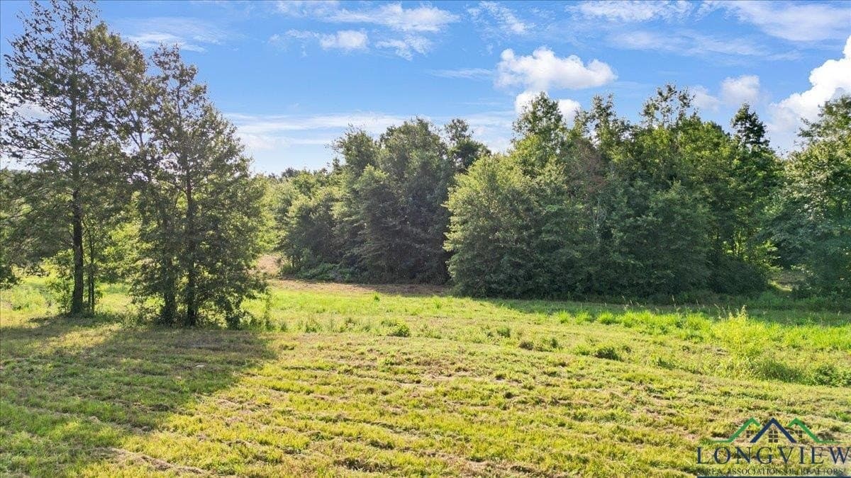 32 acres in Upshur County - photo 14