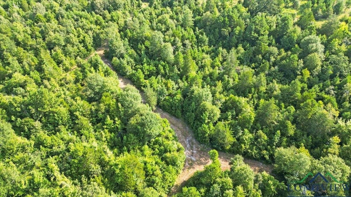 32 acres in Upshur County - photo 18
