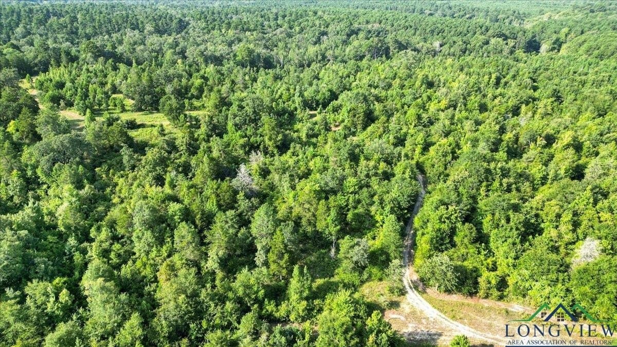 32 acres in Upshur County - photo 16