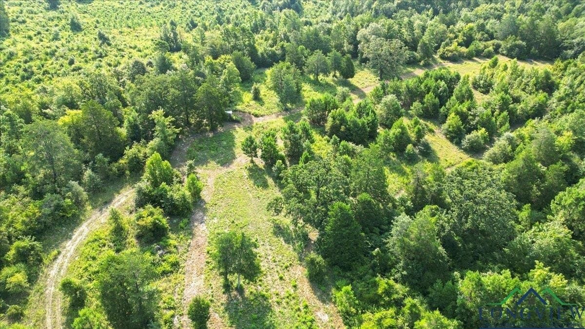 32 acres in Upshur County - photo 17
