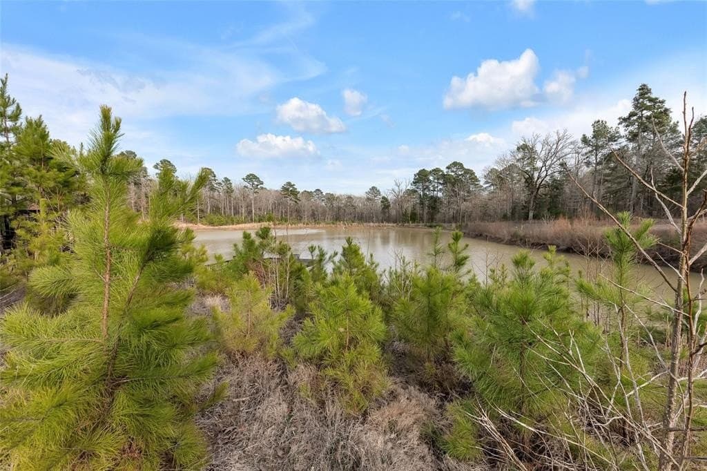 142.26 acres in Wood County - photo 33