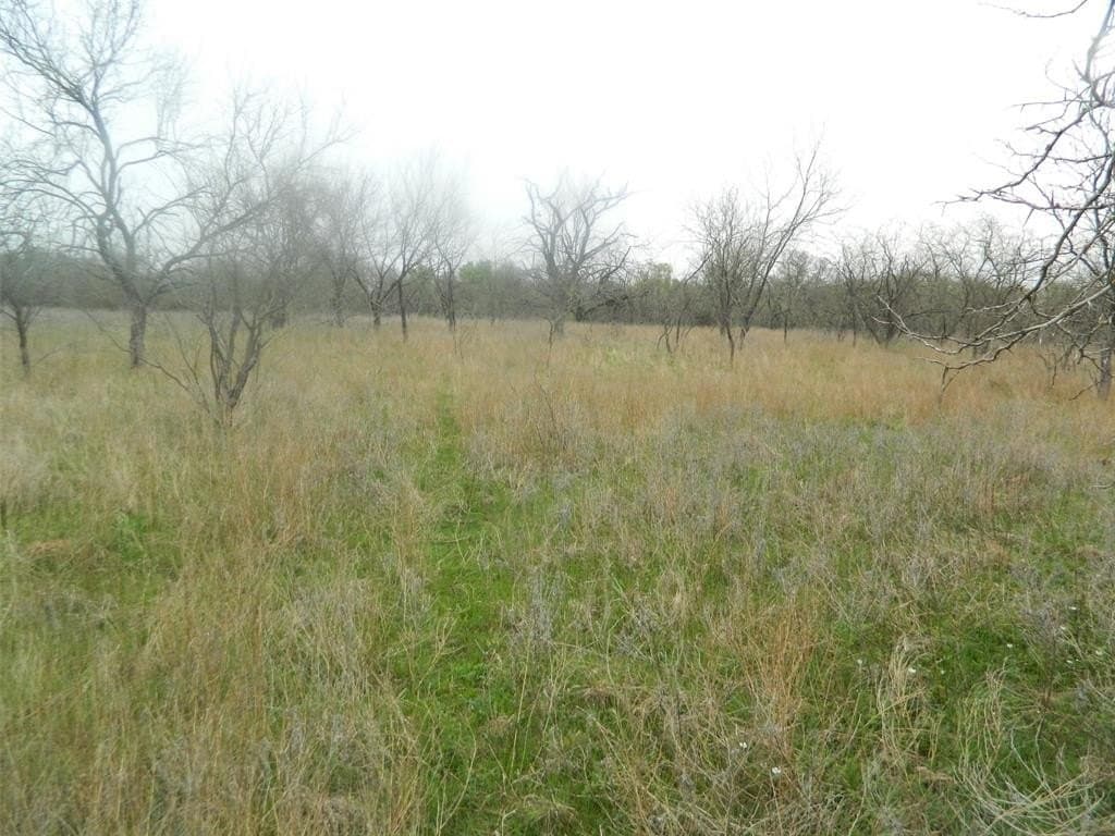 80.72 acres in Freestone County - photo 11