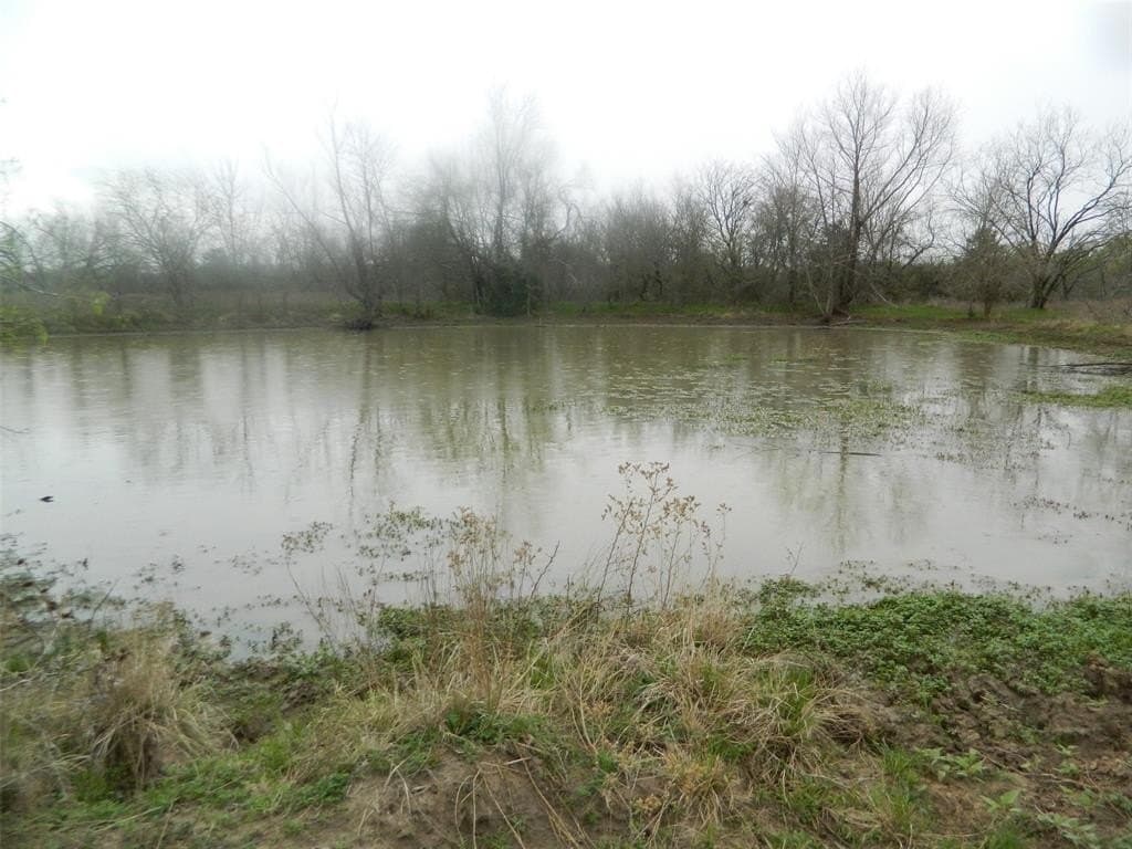 80.72 acres in Freestone County - photo 2