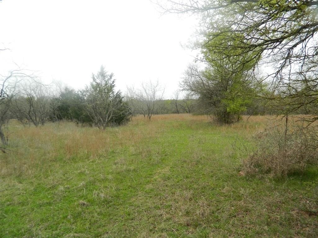 80.72 acres in Freestone County - photo 16