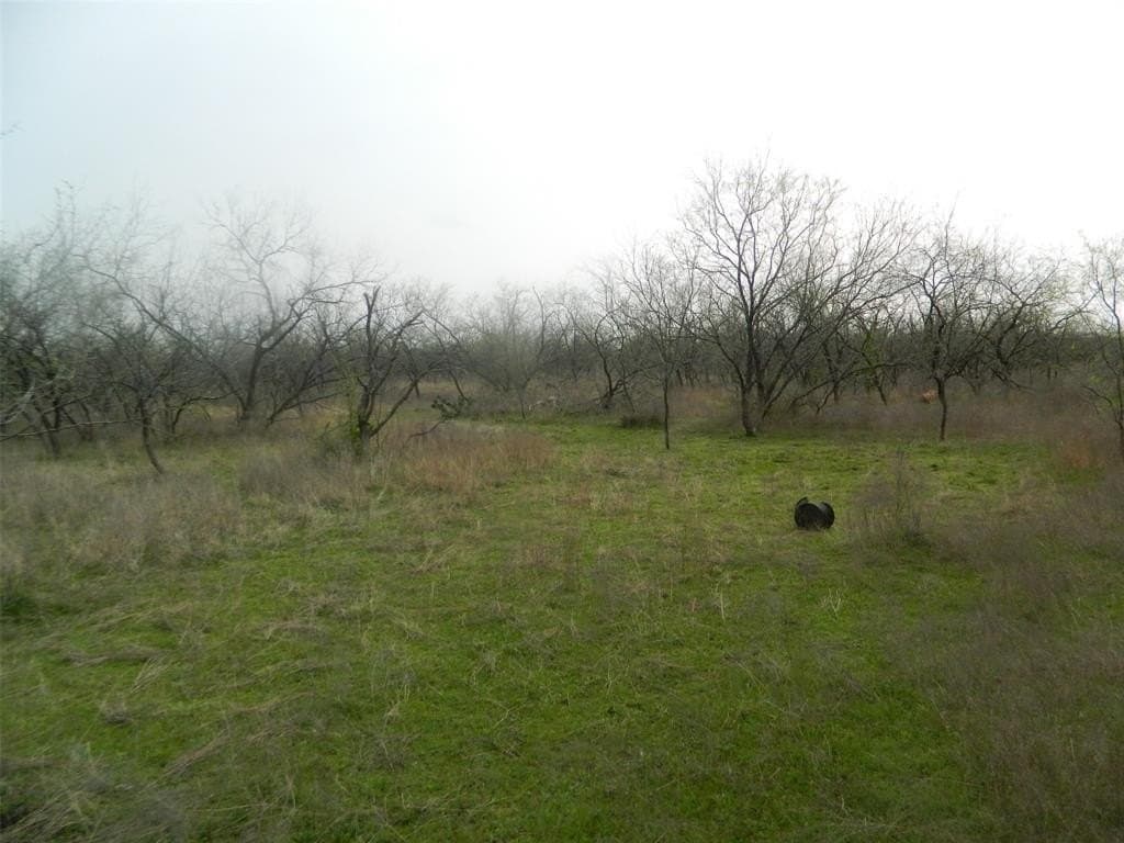80.72 acres in Freestone County - photo 15