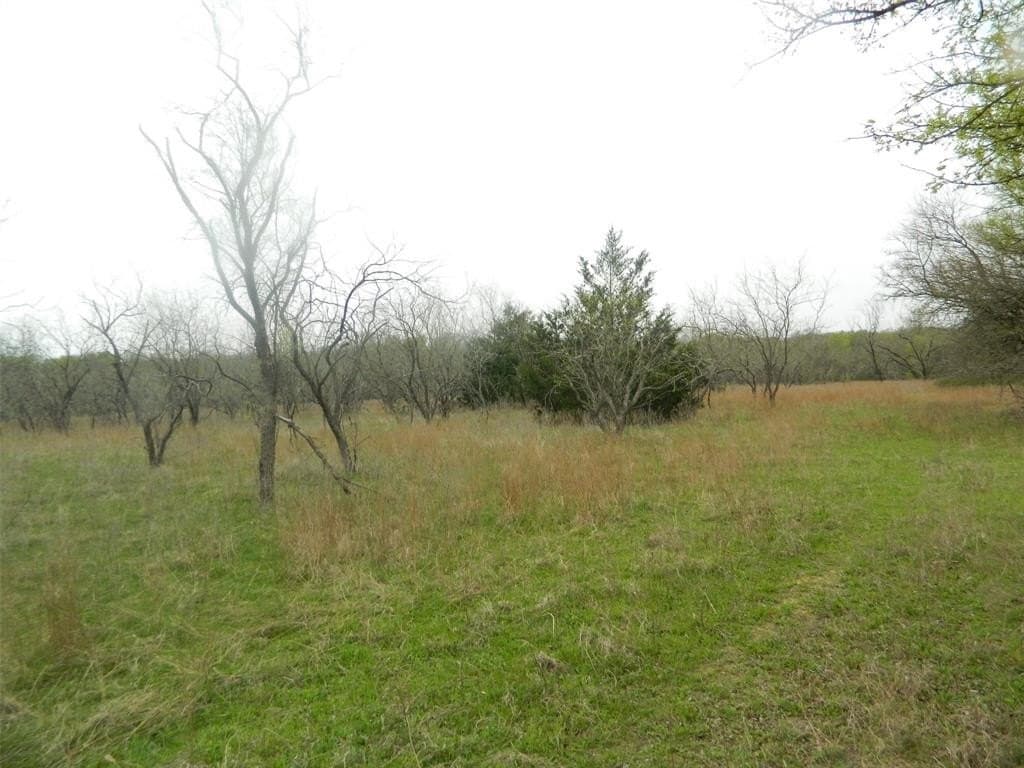 80.72 acres in Freestone County - photo 10
