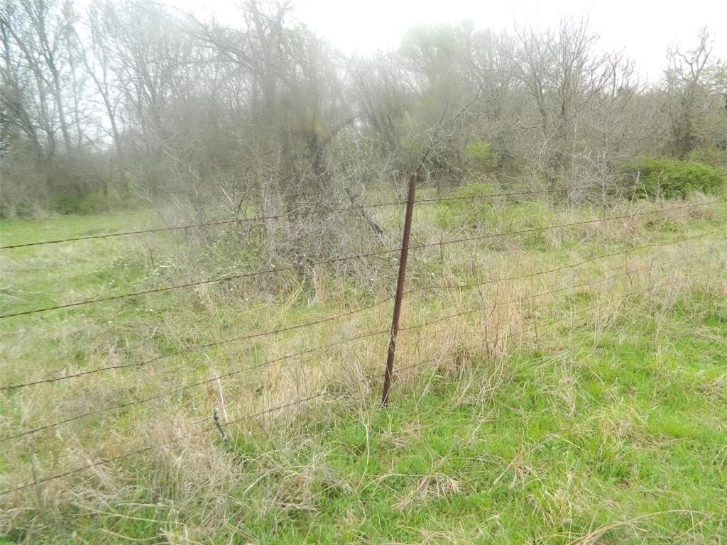 80.72 acres in Freestone County - photo 12