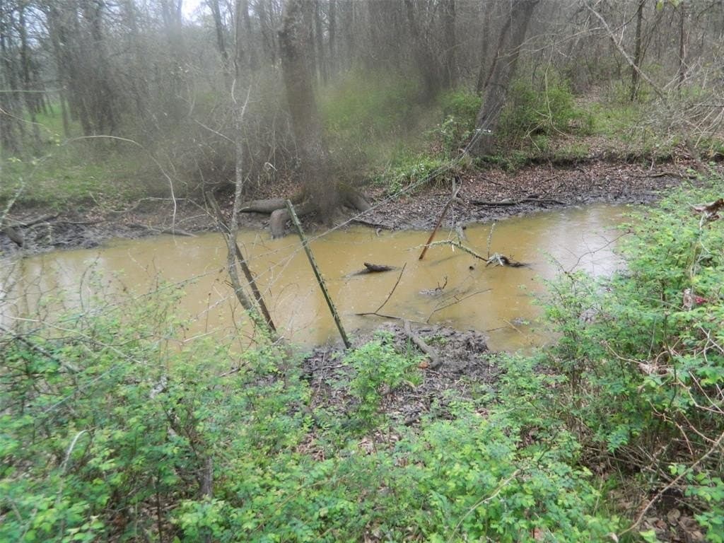 80.72 acres in Freestone County - photo 17