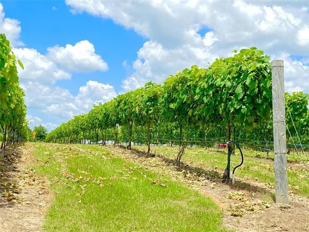 27.8 acres in Van Zandt County - photo 18