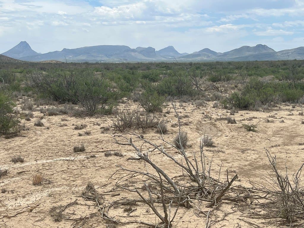 5 acres in Brewster County - photo 3
