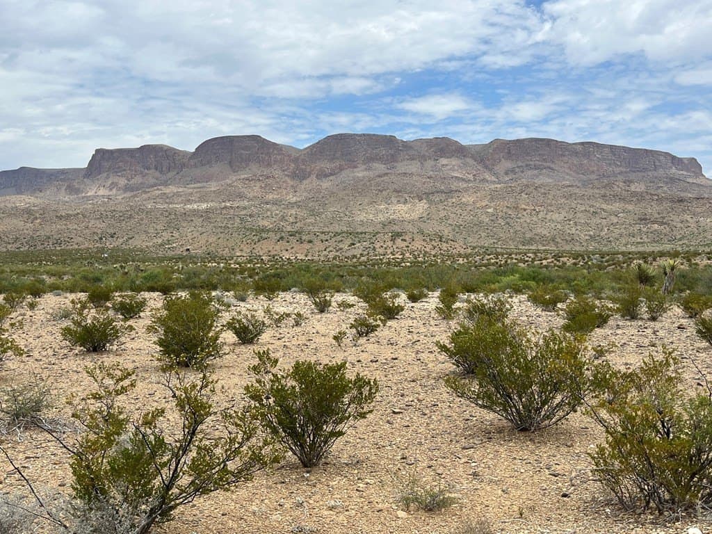 5 acres in Brewster County - photo 8