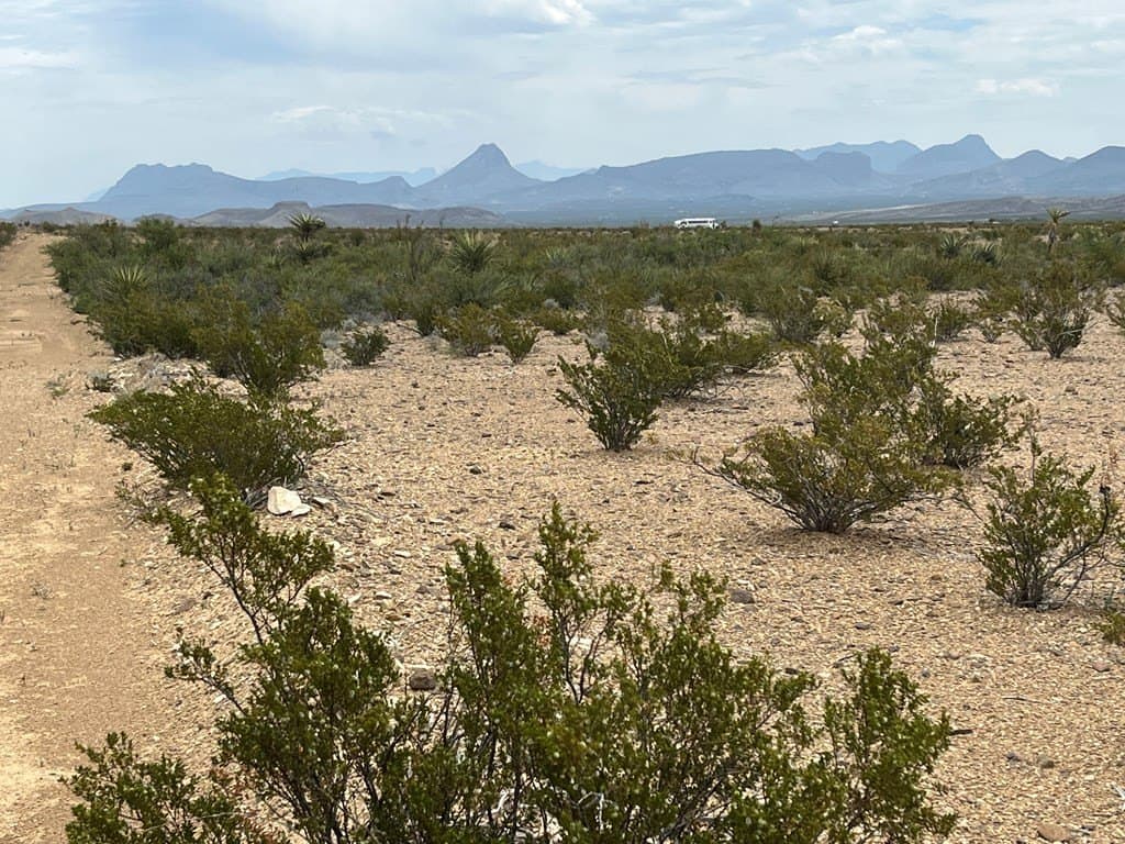 5 acres in Brewster County - photo 9